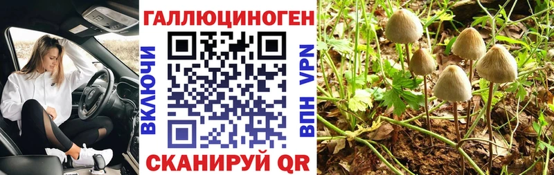 Галлюциногенные грибы мухоморы  Ладушкин 